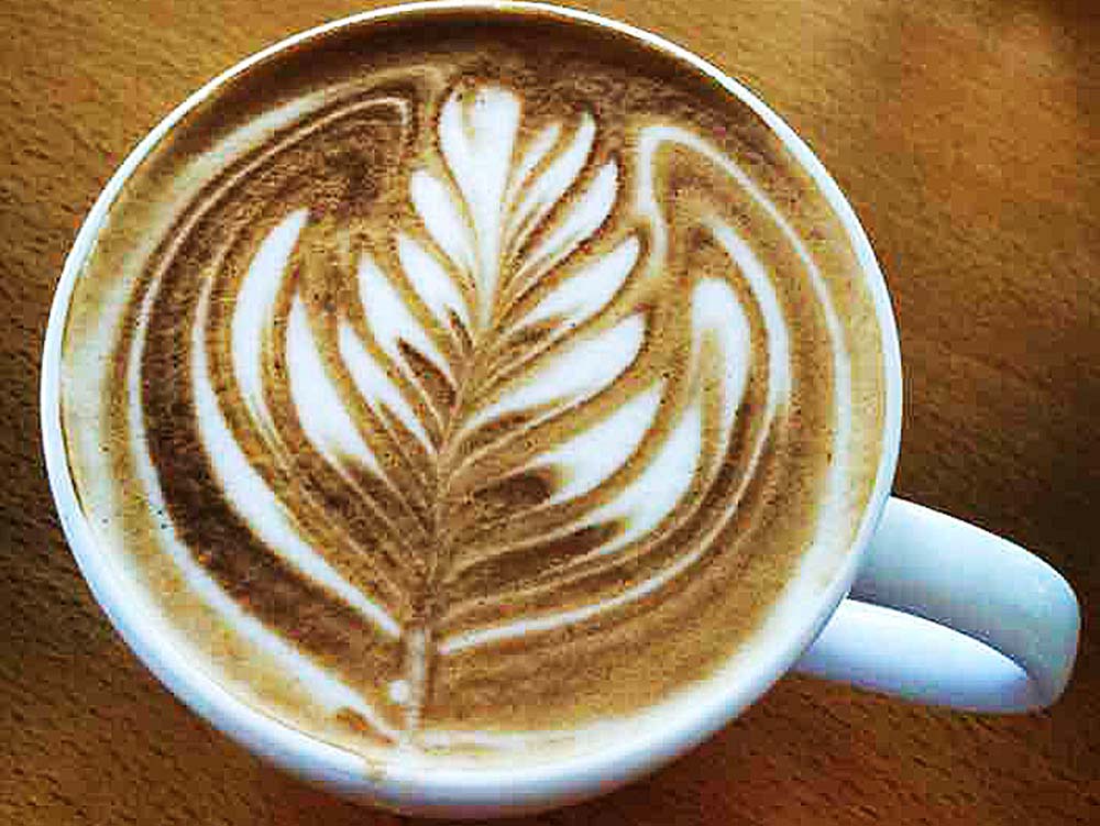 エスプレッソやカプチーノ カフェラテは泡だてコーヒーのこと すぎた珈琲 自家焙煎専門 スペシャルティコーヒー